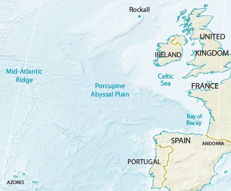 Abyssal plain