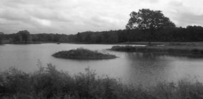 Artificial island
