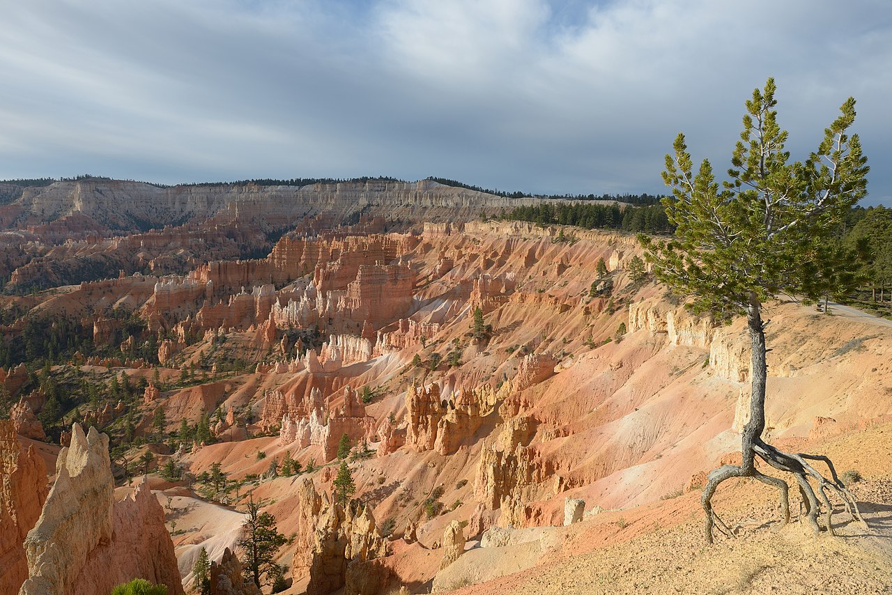 Canyon