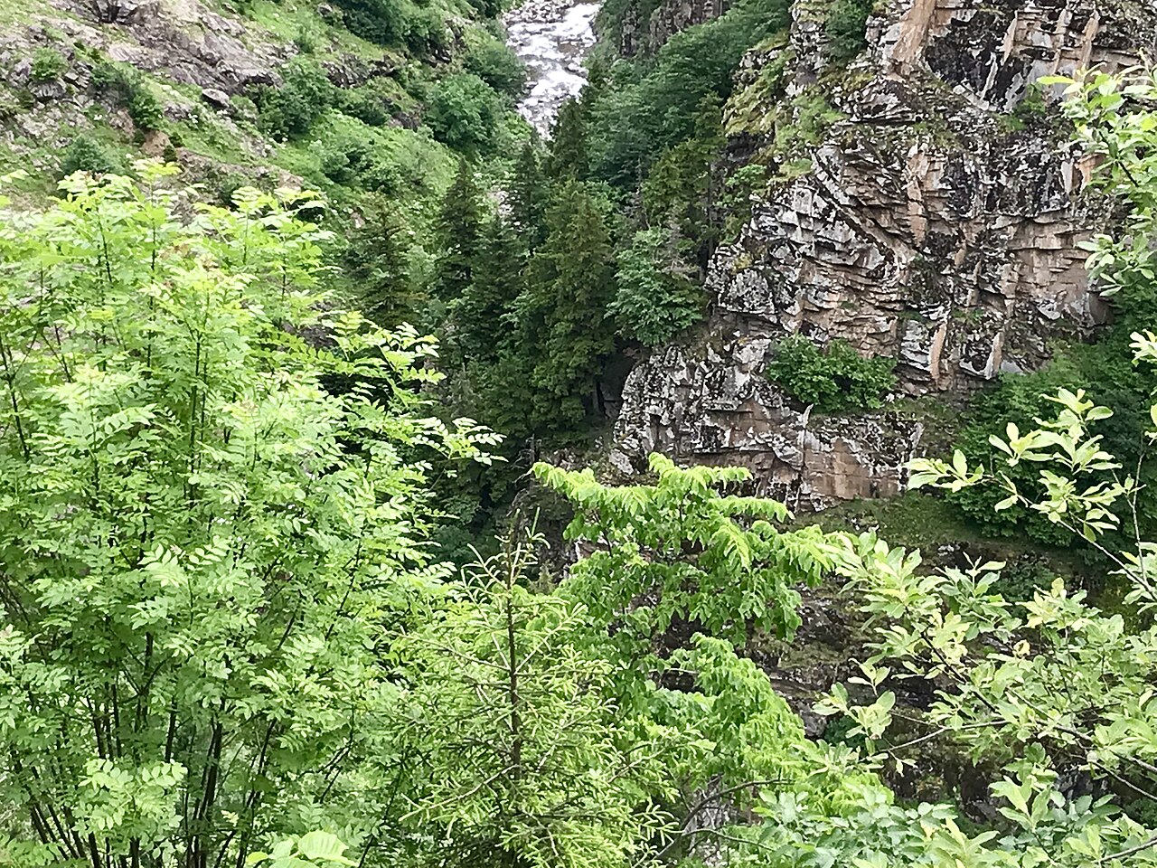 Cliff