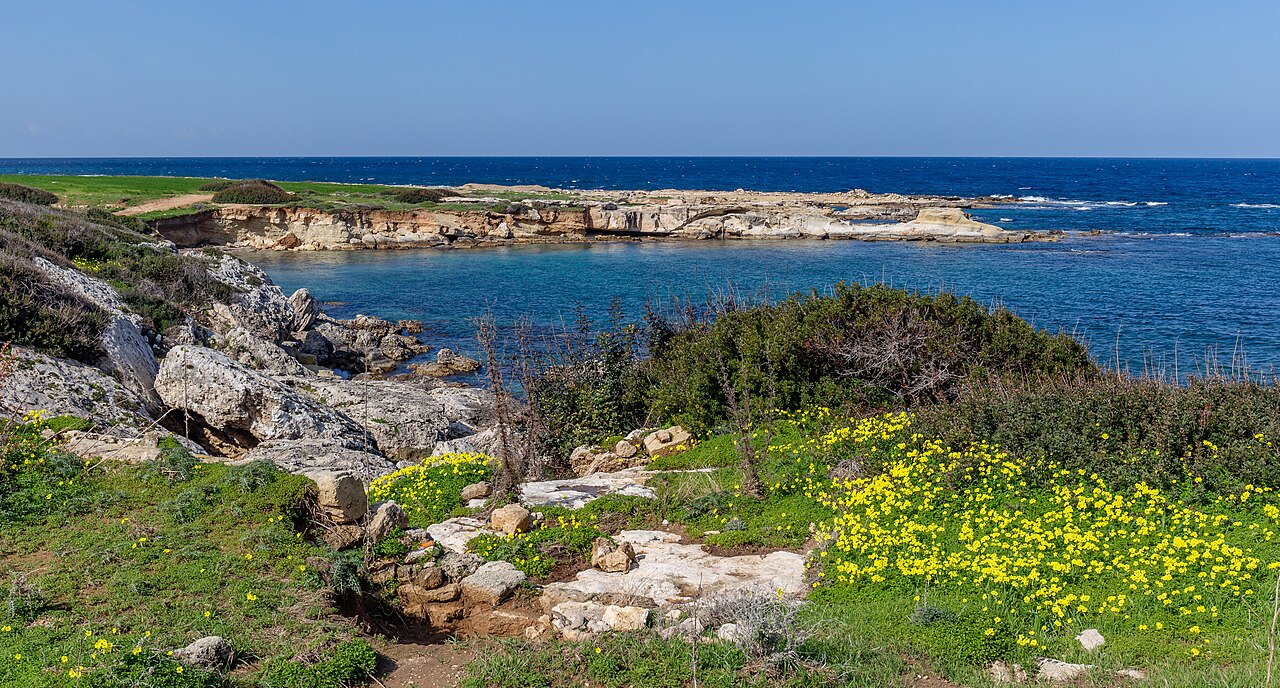 Coast